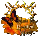 Have a beautiful week