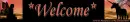 Welcome Fairy