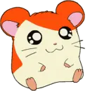hamtaro
