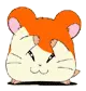 hamtaro