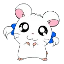 hamtaro