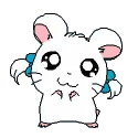 hamtaro