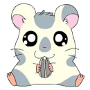 hamtaro