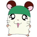 hamtaro