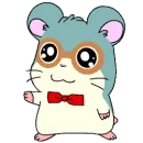 hamtaro