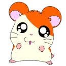 hamtaro