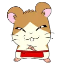 hamtaro