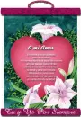 amorlejano