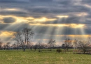 shine god