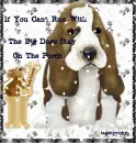 dogs