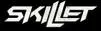 skillet