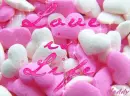 love is life 