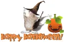 Happy Halloween!