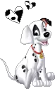 spots