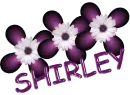 Shirley