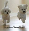 its fun being friend with u