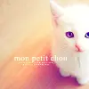 cute