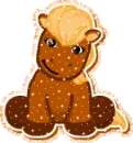 pony