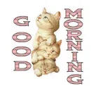 good morning