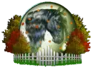 pony