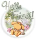hello friend