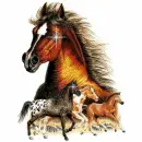 horse running head