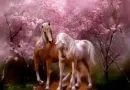 horse lovers