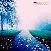 miracles