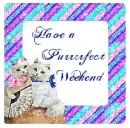 Have a Purrrrfect Weekend