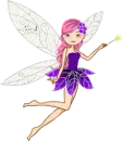 Pink Fairy