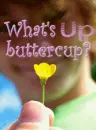 What'sUpButterCup
