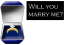 Tacky Proposal