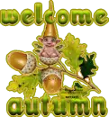acorn pixie