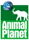 APL