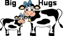 two cows