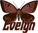 Evelyn