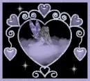 Fairy purple