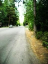 Sugar Pine Street