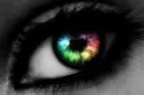 eye