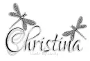 CHRISTINA Silver Dragonfly 