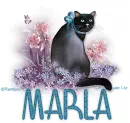 Sitting Pretty Kitten Marla