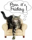 friday