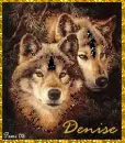 Wolves - Denise