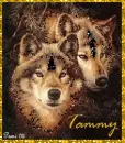 Wolves - Tammy