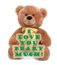 i love you beary much