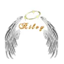Name with wings