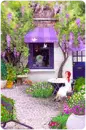venuza backyard