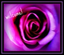 autumn rose