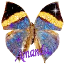 Redo for Amanda butterfly