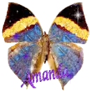 Amanda butterfly